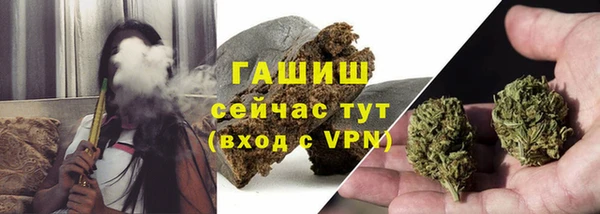 гидра Белокуриха