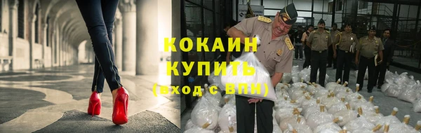 гидра Белокуриха