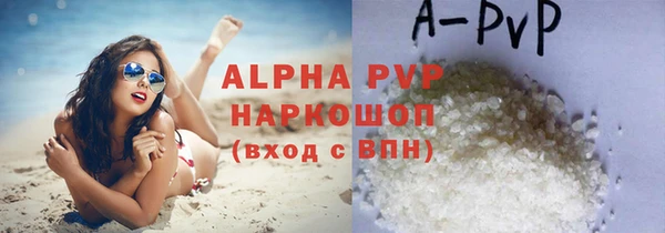 гидра Белокуриха