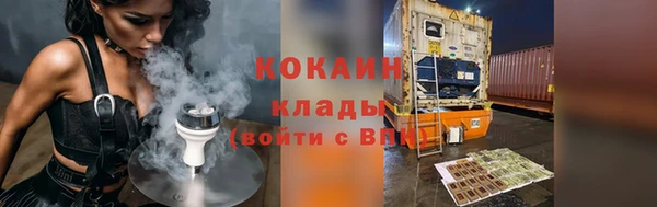 гидра Белокуриха