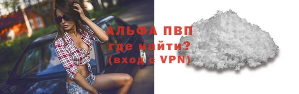 ПСИЛОЦИБИНОВЫЕ ГРИБЫ Белоозёрский