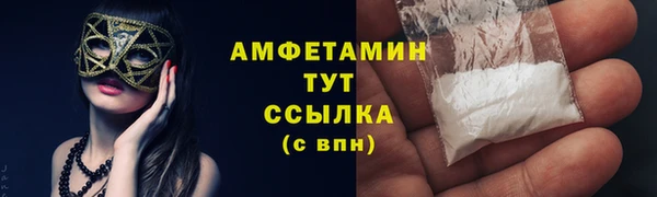гидра Белокуриха
