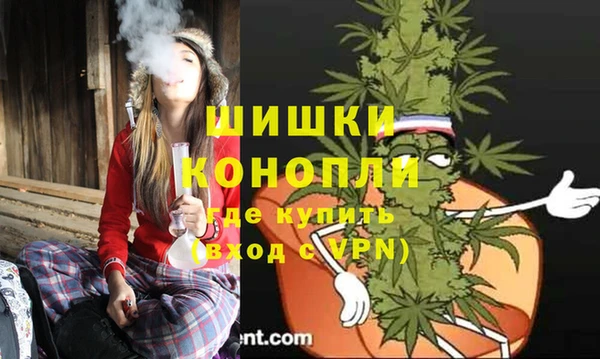 ПСИЛОЦИБИНОВЫЕ ГРИБЫ Белоозёрский