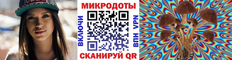 Псилоцибиновые грибы Psilocybe Яблоновский